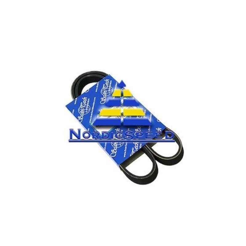 Drive Belt B207 OEM Style