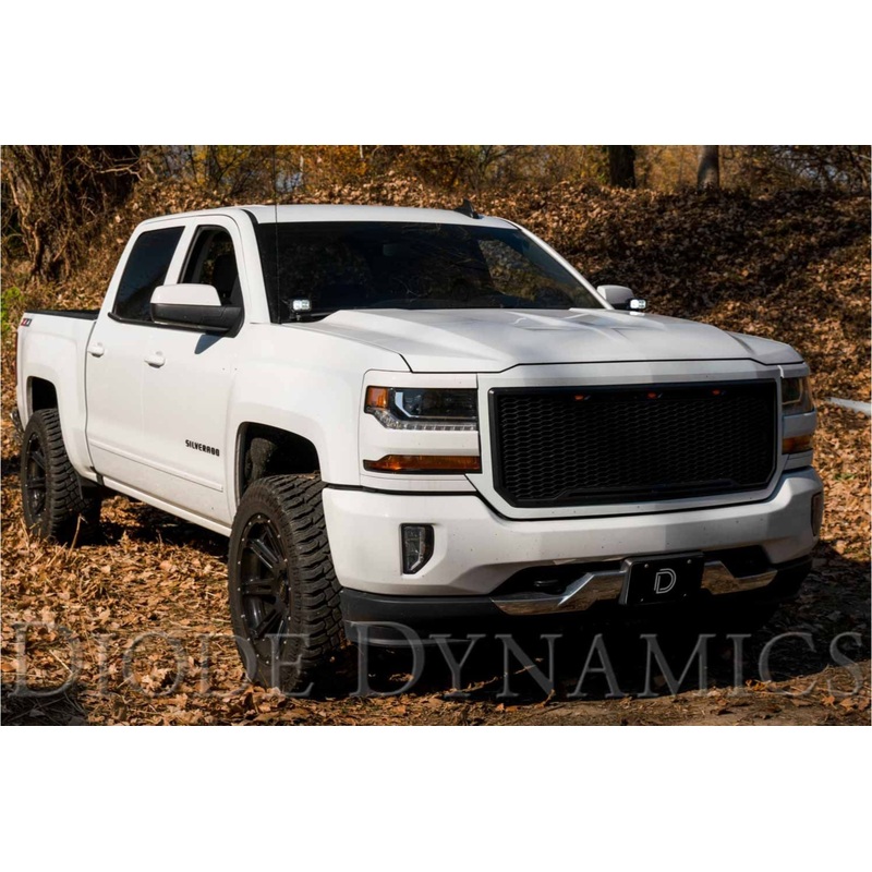 Diode Dynamics SS3 LED Ditch Light Kit Pro White Driving | Multiple Fitments (DD6657)