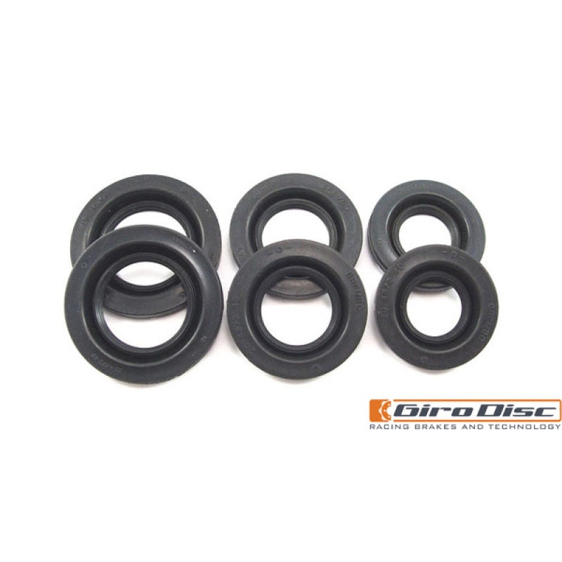 GiroDisc 2006 Audi R8 (Incl CCM) 394mm (w/Spacers) Front Dust Boot