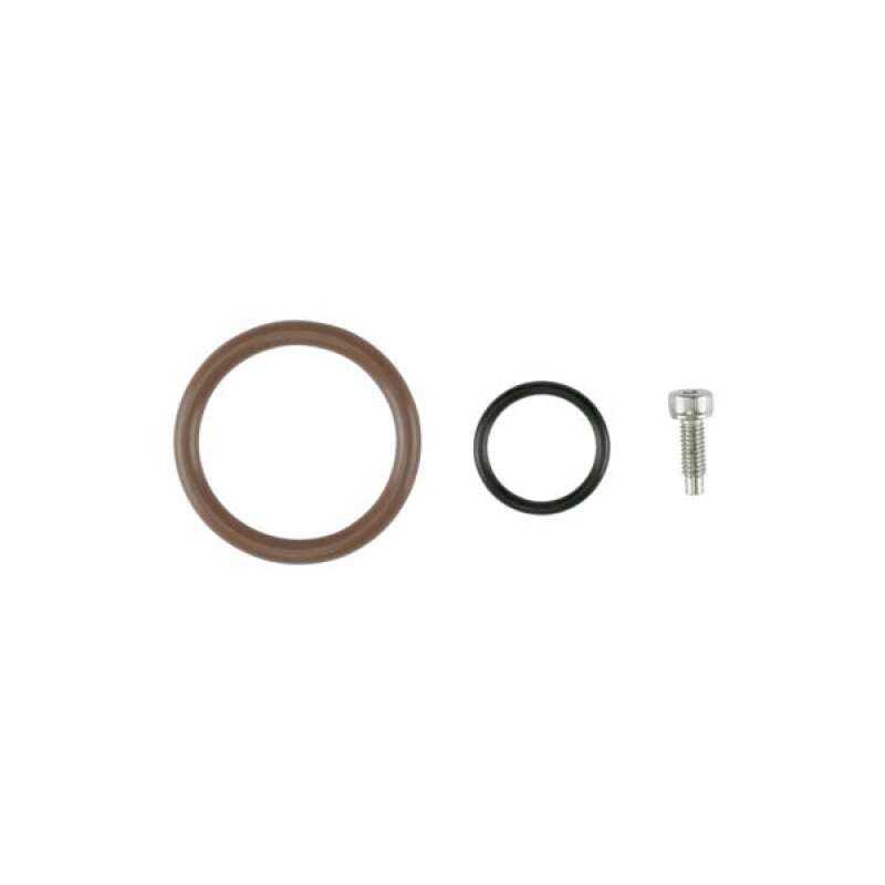 Turbosmart LS Oil Cap O-Ring