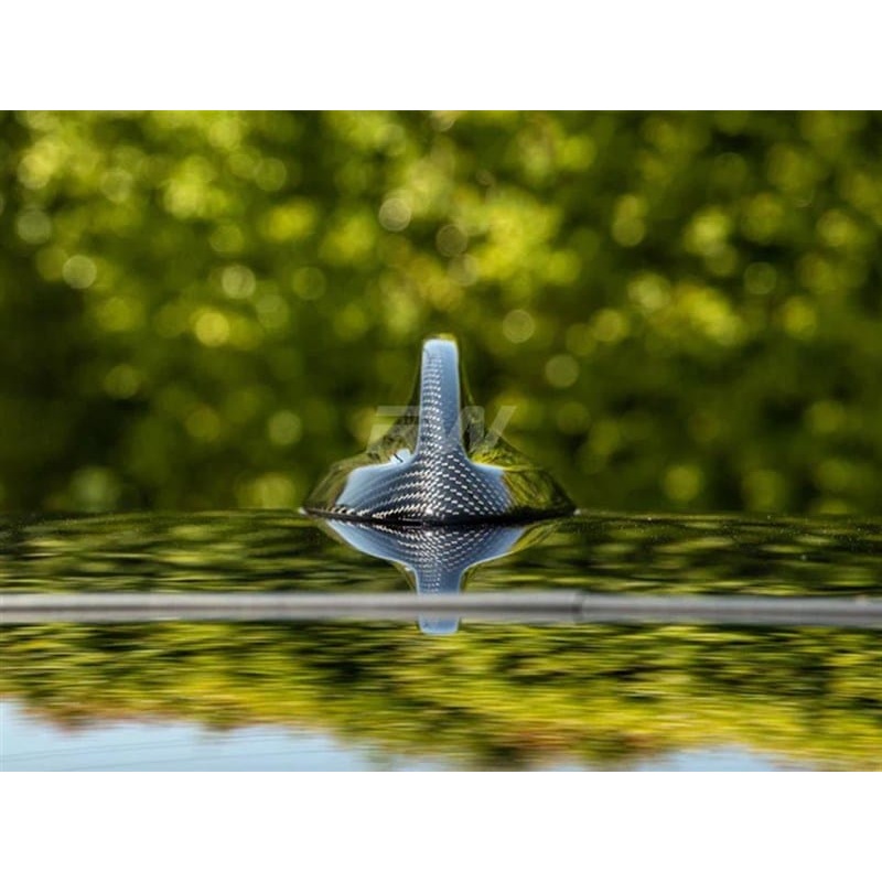 RW Carbon Carbon Fiber Antenna Cover – BMW / F40 / F44 / G22 / G23