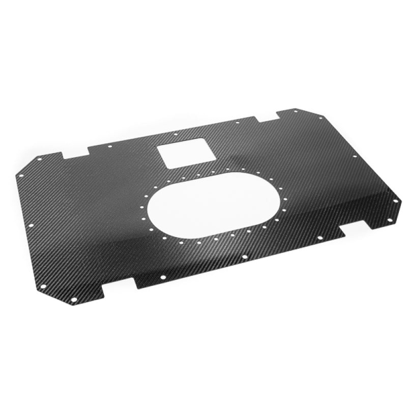 Radium Engineering Carbon Fiber Fuel Cell Lid – 10/14 Gallon